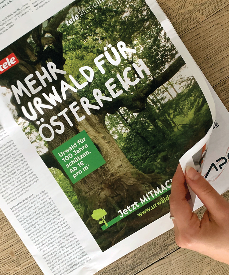 stst22_Website_tele_Urwald_1
